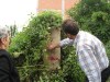 Маркирање терена